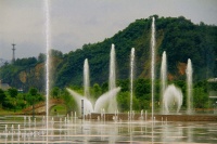 城中心氧宅 推窗即公园|星合星园2#楼精装公园观景美宅热销中