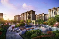 为美好而来,生活质量的提升