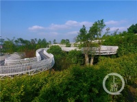 下半年重庆再开工5条山城步道 首条&ldquo;崖线上的有氧跑道&rdquo;了解下