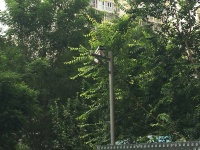 防高空抛物，北京多个小区装仰拍探头！记者实测效果