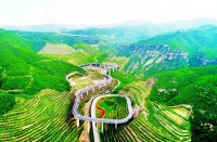 一沟一彩  一山一色 一路一花 各色植被美了晋源