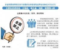 山东发文:全面禁止;8月底前,全部有序退出