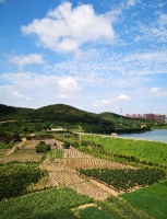 在黄岛装修,地暖路数比较少怎么办,必须要改千万不能凑合