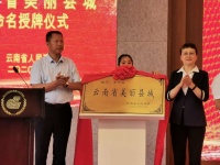 罗平县被省政府授牌命名为&ldquo;云南省美丽县城&rdquo;