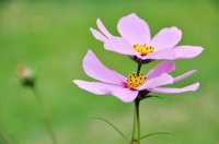 自己的幸福要自己掌控!快来寻找属于你的幸福吧!