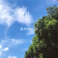 不是37℃,就是38℃!未来半个月,杭州可能只下一次雨