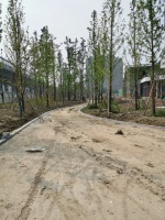 樱花谷、露营草坪、体育馆&hellip;余杭新增一座公园,年底开放!