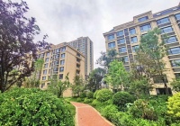 潍坊恒信&mdash;&mdash;以画家之才,建缤纷家园