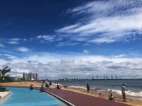 秦皇岛河道漂浮物清理进行时 生态治理清流入海!