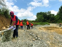 党武镇曹家庄村铺路迎丰收