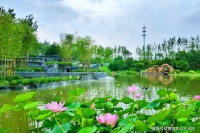 【官】上海浦东阳光城愉景公馆售楼处电话-位置-价格-最新详情