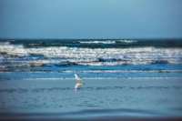 漫步岁月星河与家人回归欢乐