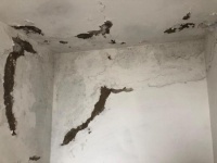 在漏雨这件事上 青岛的新房、老房都很有&ldquo;默契&rdquo;