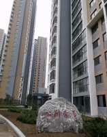 公园壹号实景现房,看得见才能发现好