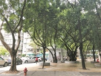 年轻人首次置业 选成熟市中心二手房还是潜力板块新房?