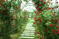 建发新城园玺开盘时间 售楼处地址电话 开发商信息 项目地址