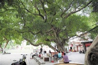 洪梅镇推进民房建设专项整治 村民自律共建宜居家园