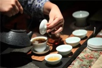 乘风破浪的南浔,用美好环境创造美好生活