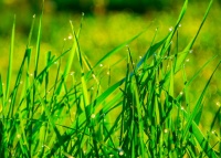 恒信&mdash;&mdash;用吃过的苦,照亮前行的路