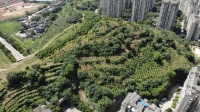 伍家岗又多了一个城市山体公园