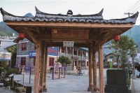 房前田间种&ldquo;美景&rdquo; 泰顺五蒲村五美忆&ldquo;乡愁&rdquo;