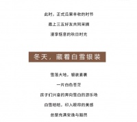 崇德公馆惊艳时光 收藏生活之美