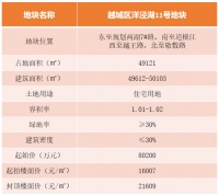 16007元/㎡起拍,袍江两湖南低密地块9.18出让