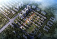 突然爆火!实探南区刚需大盘,珍惜均价8000多买房的机会!