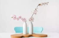 浪在都市圈丨新西塘孔雀用行动给你幸福