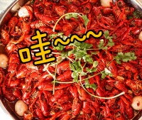 嗨FUN美食节|卓尔宜昌航空城啤酒龙虾节热辣来袭,免费畅享!