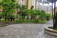 烂尾楼靠上热搜才能得到解决?没成网红的呢!