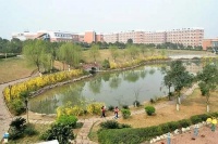 同一时间强拆了房屋,起诉后,法院却以这种理由驳回了诉求?!