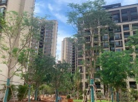 天赐上湾 | 共同分享每一个幸福的瞬间