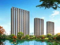 平湖市区名悦华庭强势来袭 图文解析!开盘价格!