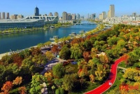 天津房价每平降5000?专家:二手房小幅下跌,需要积极去库存