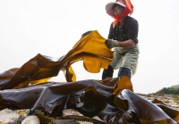 &ldquo;烟台&lsquo;鲜&rsquo;的七次方&rdquo;走进长岛大钦岛