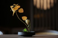 木莲庄酒店以艺术空间为载体,为用户提供艺术旅居生活