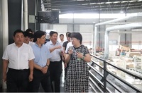 青岛海关党委委员、副关长、一级巡视员石勇一行莅临安信美家调研