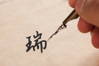 @700万烟台人,超级&ldquo;瑞福&rdquo;今日开始集结!