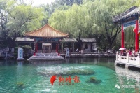 10月9日起,持这两张票,可免费游趵突泉、千佛山啦