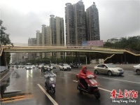 蔡伦大道(平湖公园段)人行天桥预计本周六开通