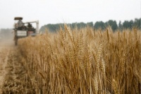 万亿卖地钱怎么花?相关文件将出 农业农村迎利好