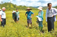 征收农村土地，一年给800块钱，合法吗？