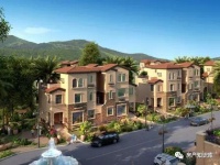 双拼住宅是什么?别墅联排好还是双拼好