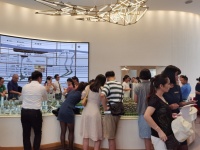 碧桂园着力布局清远市场 提升产品力迎合市场消费