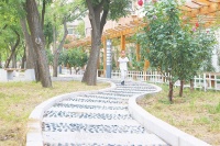 衡水市园林中心决定在主城区新建不少于100个&ldquo;口袋公园&rdquo;