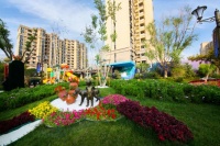 怎样才算精彩生活,这是我听过最好的答案