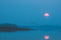 注意!国庆假期来松湖烟雨要提前预约!