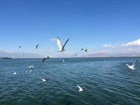 蜜月旅行去哪里好 这几个地方不能错过