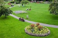 你好南京人 幸会新江北丨在新江北孔雀城安享岁月